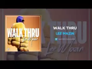 Lee Mazin  - Walk Thru
